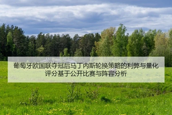 pu-tao-ya-ou-guo-lian-duo-guan-hou-ma-ding-nei-si-lun-huan-ce-lve-de-li-bi-yu-liang-hua-ping-fen-ji-yu-gong-kai-bi-sai-2-906.jpg
