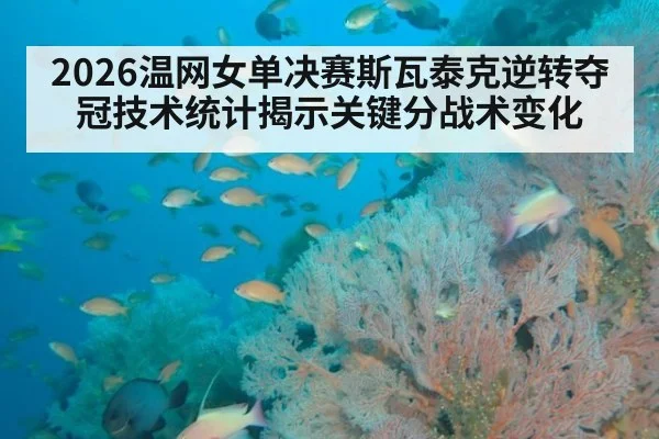 2026温网女单决赛斯瓦泰克逆转夺冠技术统计揭示关键分战术变化